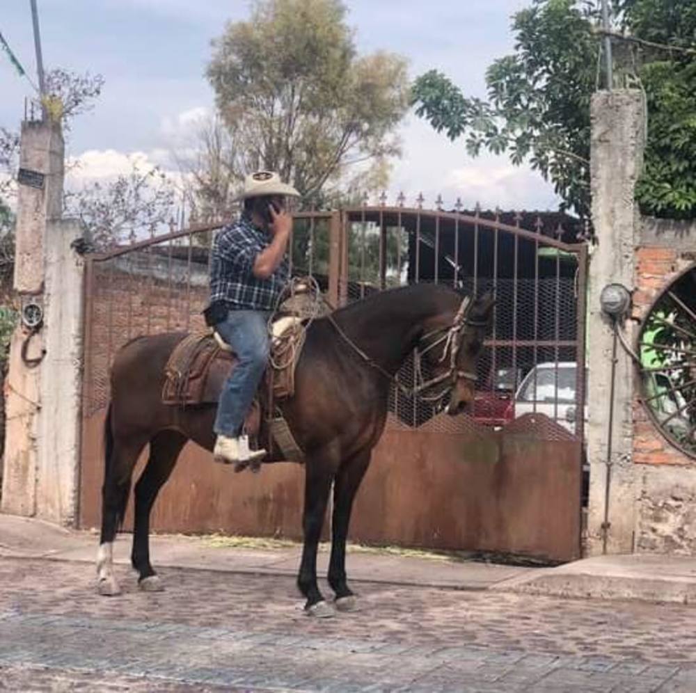 Meet your Posher, Ana